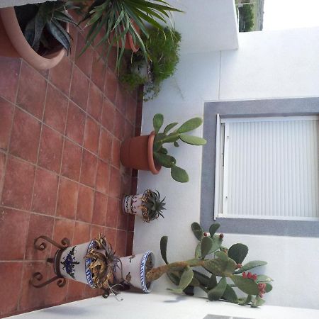 Hostal Rural Alba Los Albaricoques 외부 사진