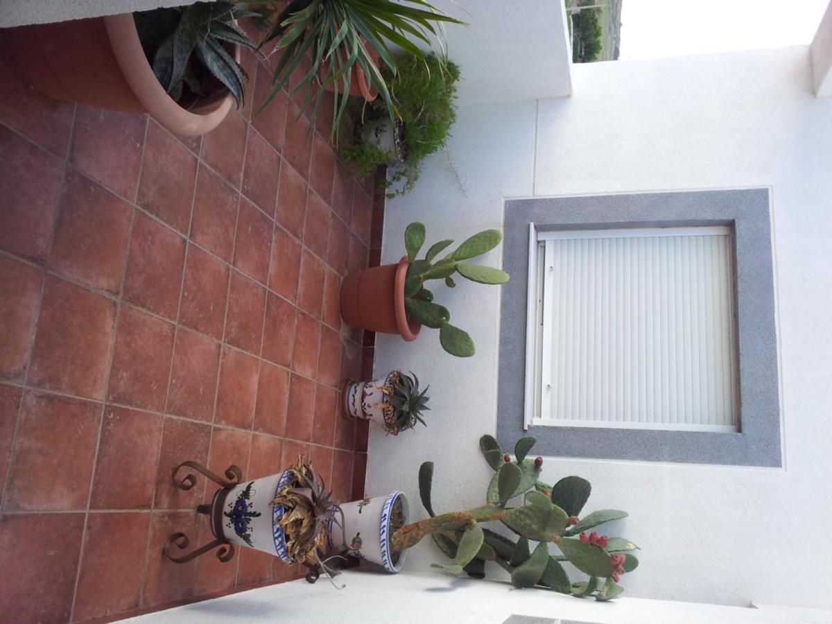Hostal Rural Alba Los Albaricoques 외부 사진